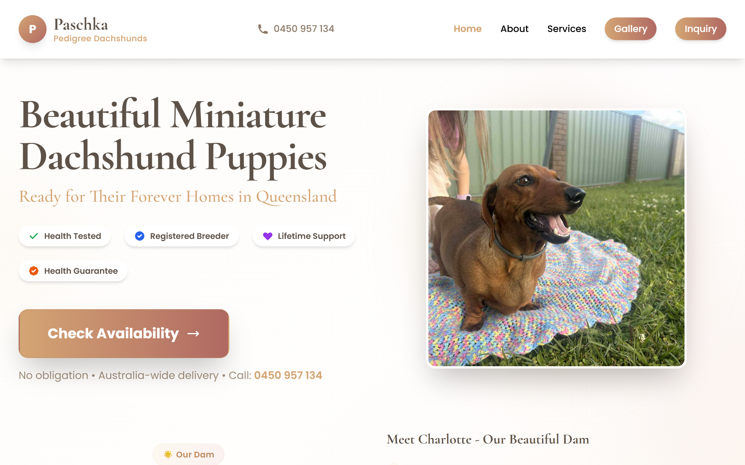 Paschka Dachshunds — screenshot